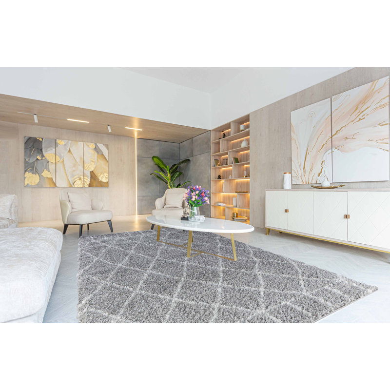 Toland Geometric Shag Area Rug, Rectangle 160 x 230cm
