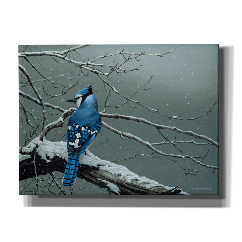 «Winter Jay on Canvas» par Ron Parker, reproduction, H 12 po x l 16 po x P 0,75 po