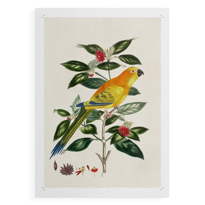 Bird in Habitat V - Impression sur toile seulement - NON-CADRE, H 27 po x l 18 po