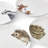 Wrendale Designs - Assorted Coupe Side Plates