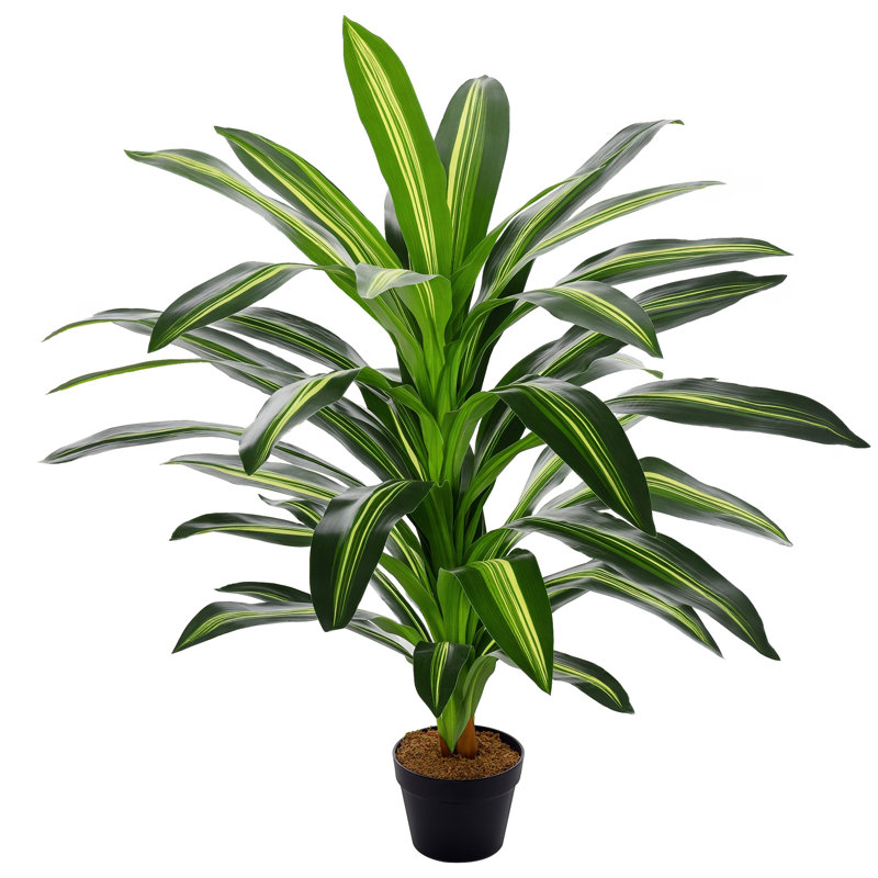 Charleston 110cm Faux Dracaena Plant in Pot