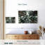 Harnek, pins au Liban-108712969