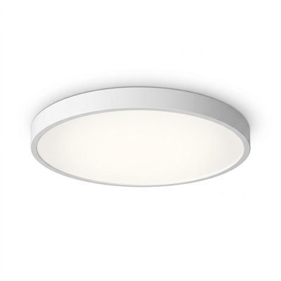 Smart LED Ceiling Light RGBCW Color Changing Light Flush Mount Ceiling Lamp 24W Dimmable