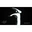 Robinet de salle de bain-12517434