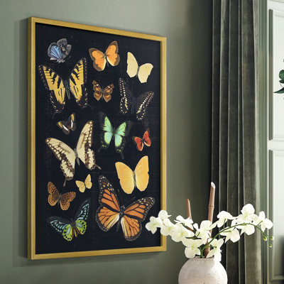 Collected Flutter III Framed Print - Solid Wood