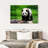 Crowle Strolling Panda-111979350