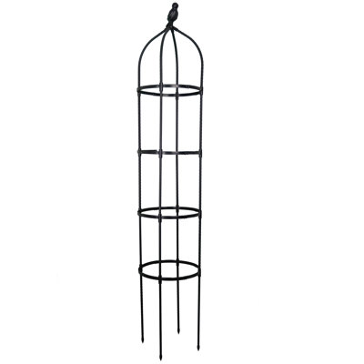  Obelisks Trellis For Climbing Plants