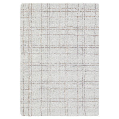 Assente Area Rug