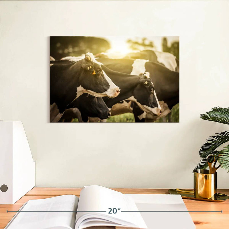 Vaches Brampt Holstein, H 8 po x l 12 po
