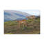 No Frame Print on Canvas-1580941462