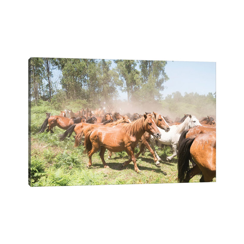 Stampede by Andrew Lever - Wrapped Canvas Print