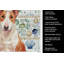 Torchon rouge et blanc Bull Terrier-1209194084