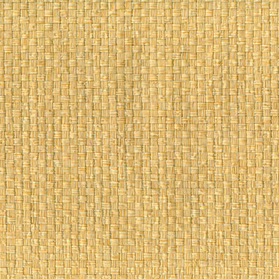 Vela Grass Cloth Roll