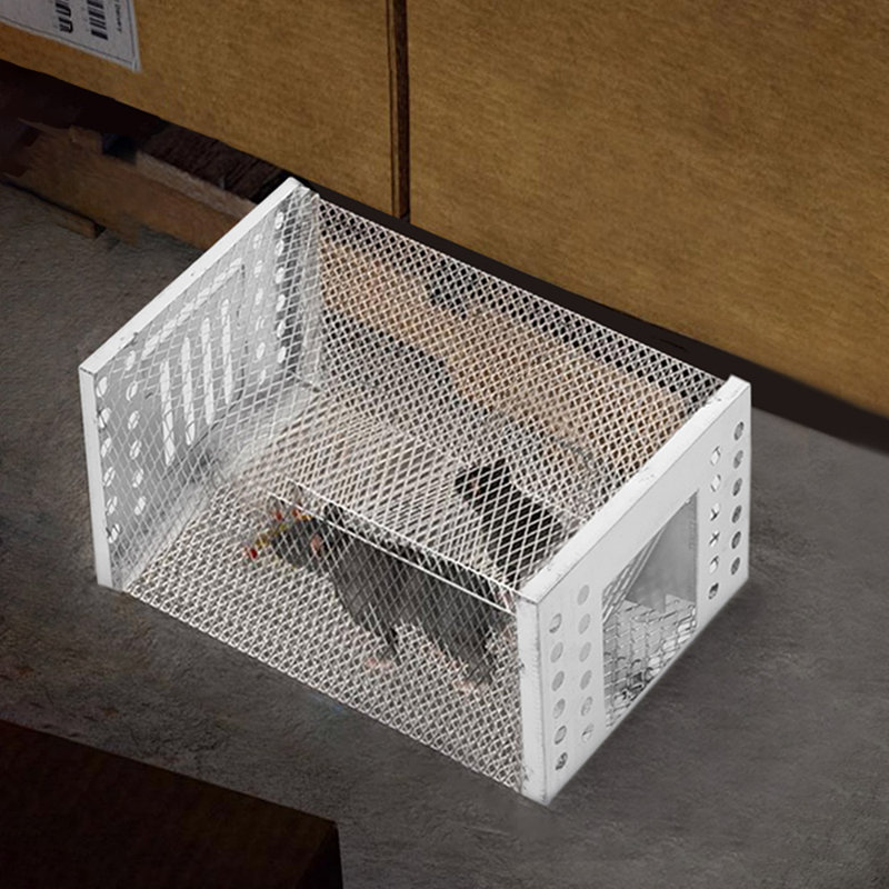 Mouse Cage