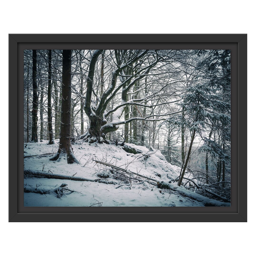 Schneebedeckter Wald Gerahmter Fotodruck