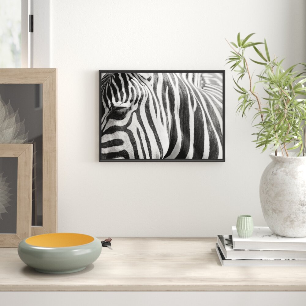 Gerahmtes Wandbild Zebra Porträt