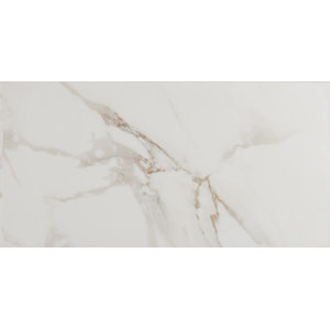 https://assets.wfcdn.com/im/72877747/resize-h300-w300%5Ecompr-r85/4154/41545632/Pietra+12%22+x+24%22+Porcelain+Stone+Look+Wall+%26+Floor+Tile.jpg