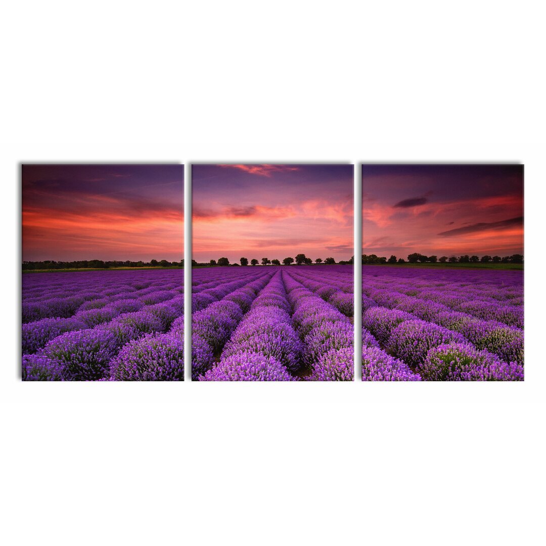 3-tlg. Leinwandbilder-Set Wunderschöne Lavendel Provence