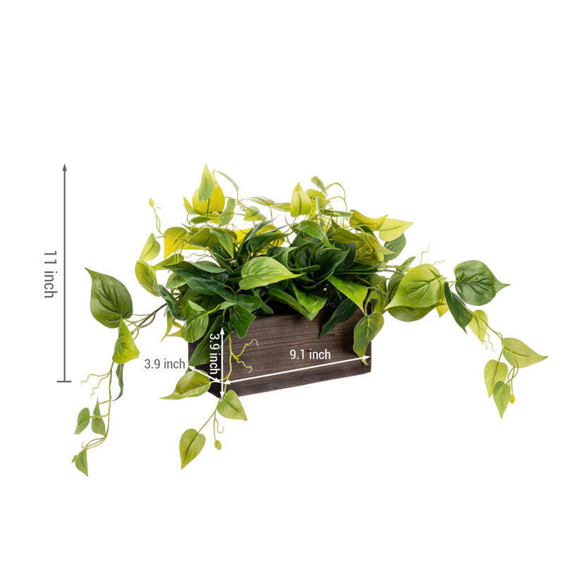 27.9cm Faux Fir Plant
