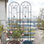 Ensemble de 2 treillis de jardin en métal 86,7 po x 19,7 po, antirouille pour l'extérieur pour les plantes, noir de style paon, facile à assembler, tube galvanisé robuste, supporte les plantes grimpantes comme les vignes-1026833921