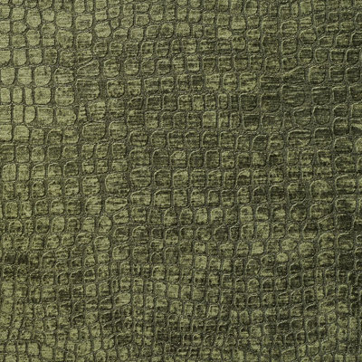 Tissu de velours alligator