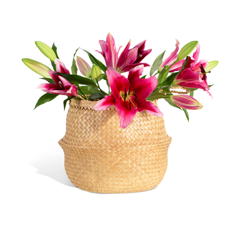 Panier en ruppie maritime