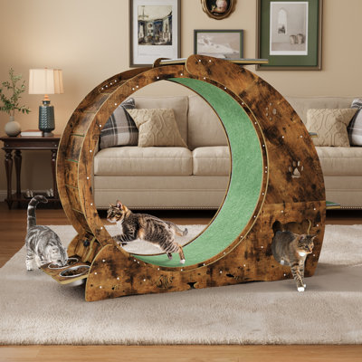 roue de chat pour chats d'intérieur 6-en-1, grand tapis d'exercice pour chat avec bols et poteau à griffes pour remise en forme rétro brun