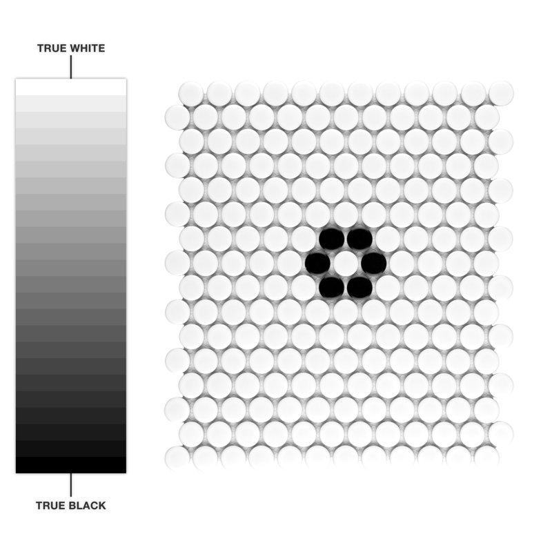 Metro Penny Metro Penny Matte White with Black Flower 9-3/4" x 11-1/2" Porcelain Mosaic Floor and Wall Tile