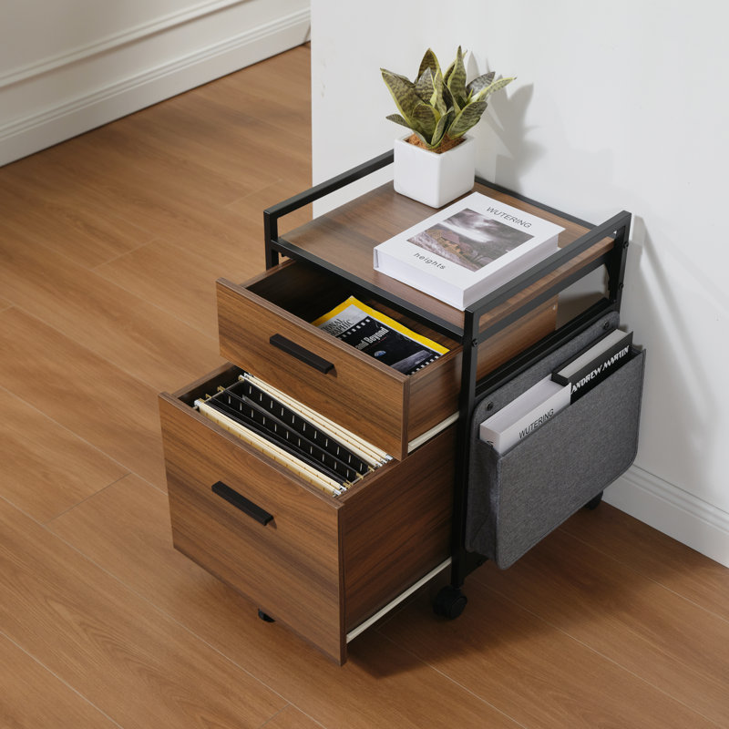 Ziolkowski 2-Drawer Mobile Vertical Filing Cabinet, Walnut