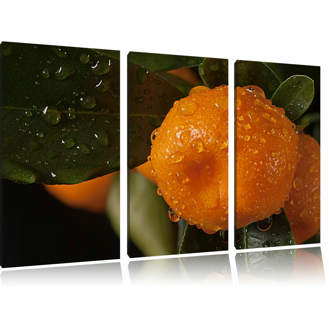 3-tlg. Leinwandbilder-Set „Orange", Fotodruck