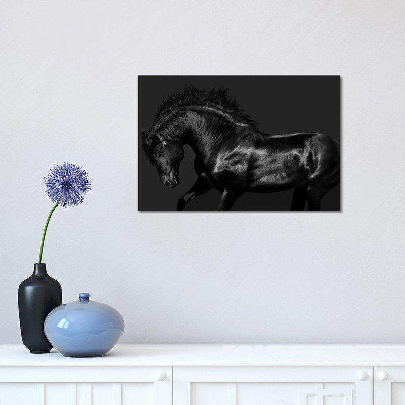 Black On Black by Samantha Carter - Wrapped Canvas Print, 30.48 cm H x 45.72 cm W