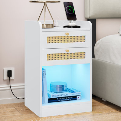 Bohemian Charm Javonn 15.7'' W Nightstand with Charging Ports & Storage(Set of 2)