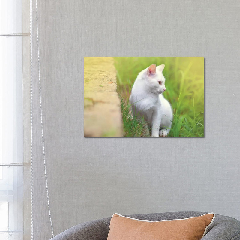 « White Cat 61 » par Ben Heine-reproduction de photo, Pas de tapis, Toile tendue, H 18 po x l 26 po x P 1,5 po