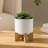 CHEVRON PLANTER W/ STAND, WHITE-1106379894