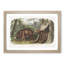 Cinnamon Bears by J.W. Audubon - Picture Frame Painting Print-55545840-55545839
