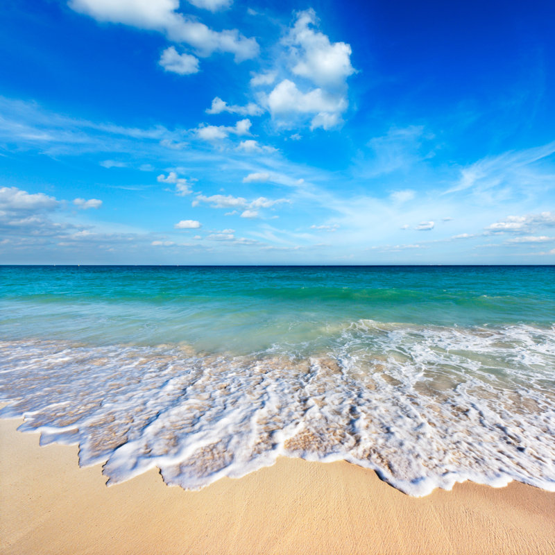 Beautiful Beach - Wrapped Canvas Print, 122cm H x 122cm W x 3.8cm D