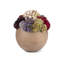 Elias Sedum Arrangement-960222570
