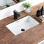 Lavabo de salle de bain encastré rectangulaire encastré en porcelaine vitreuse avec trop-plein 21,8 po x 14,0 po