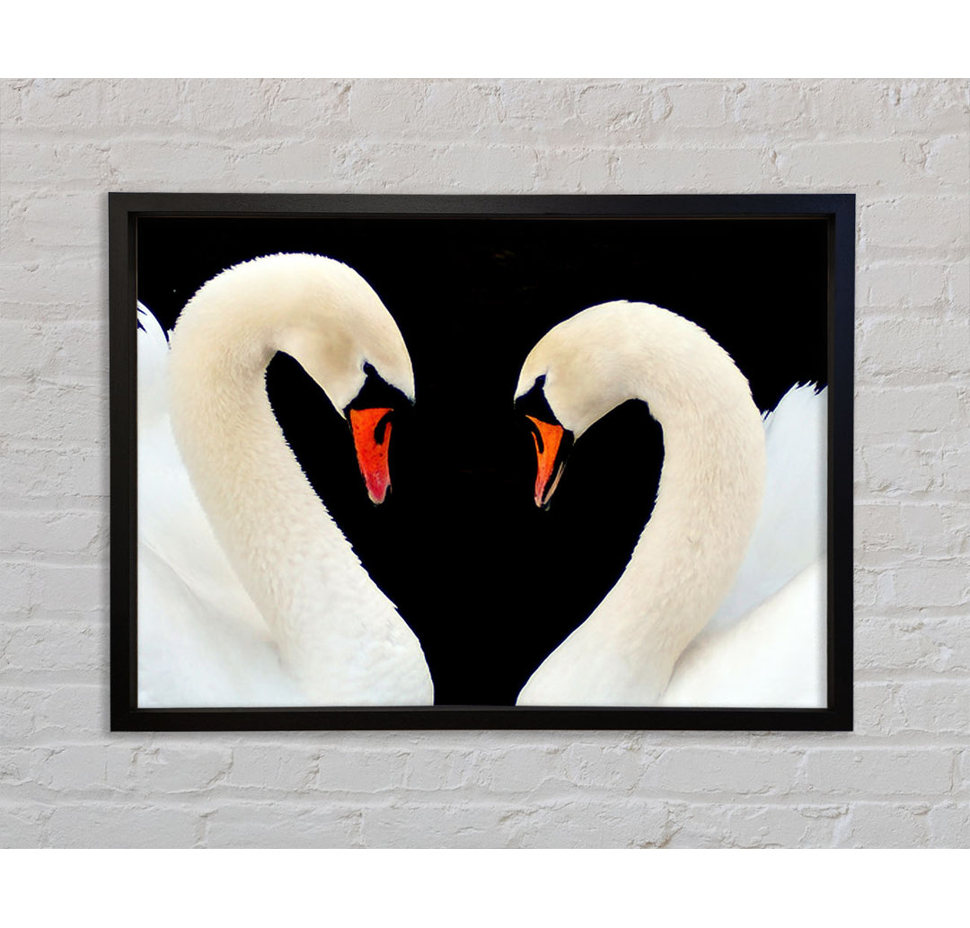 Love Heart Swans - Einzelne Bilderrahmen Kunstdrucke auf Leinwand