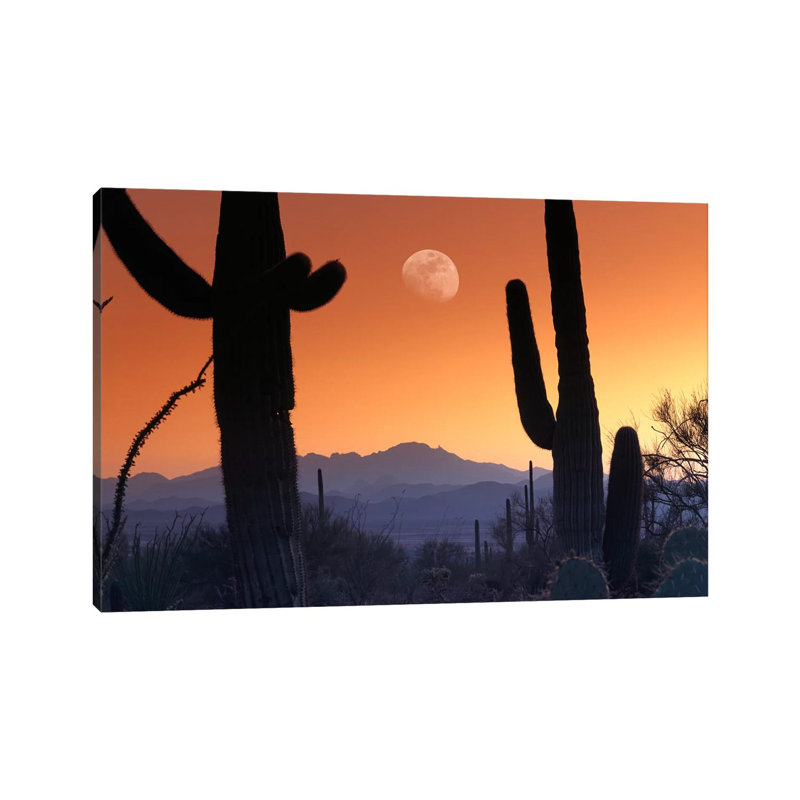 Kitt Peak Under Moon from Saguaro National Monument, Arizona. 1 Piece Wrapped Canvas Wall Art, 30.48 cm H x 45.72 cm W