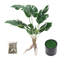53cm Faux Philodendron Plant in Pot
