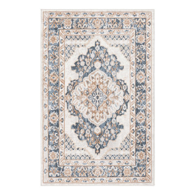 Oriental Indoor Rug