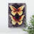 Butterflies In Watercolour No.4 - Wrapped Canvas Print-999788396