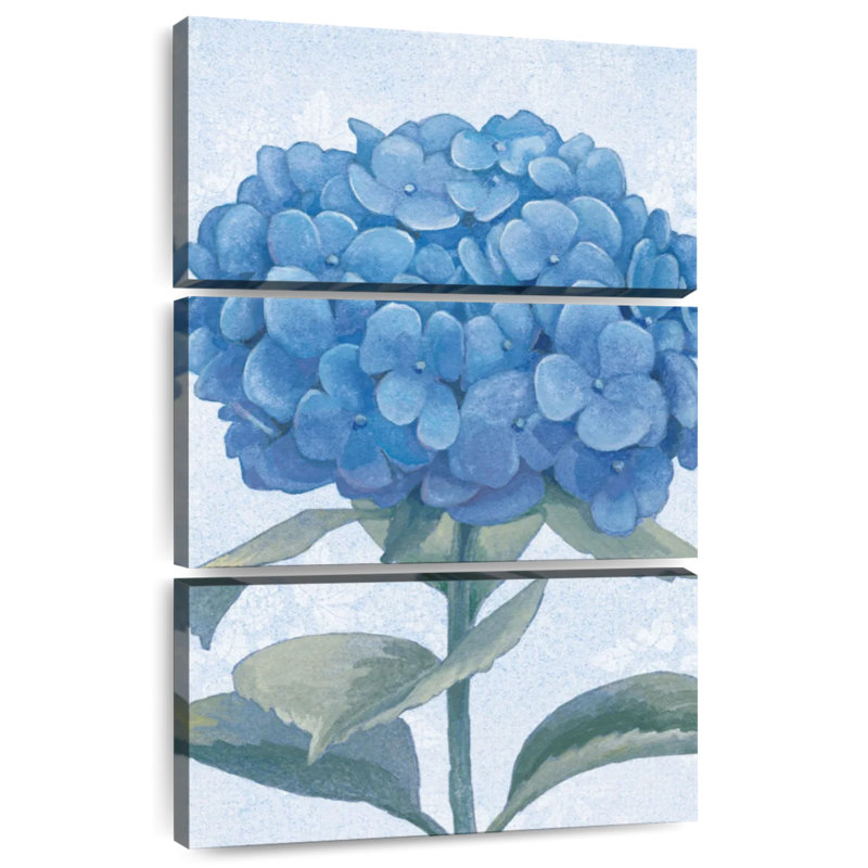Hortensia bleu Harnek II, H 38 po x l 24 po