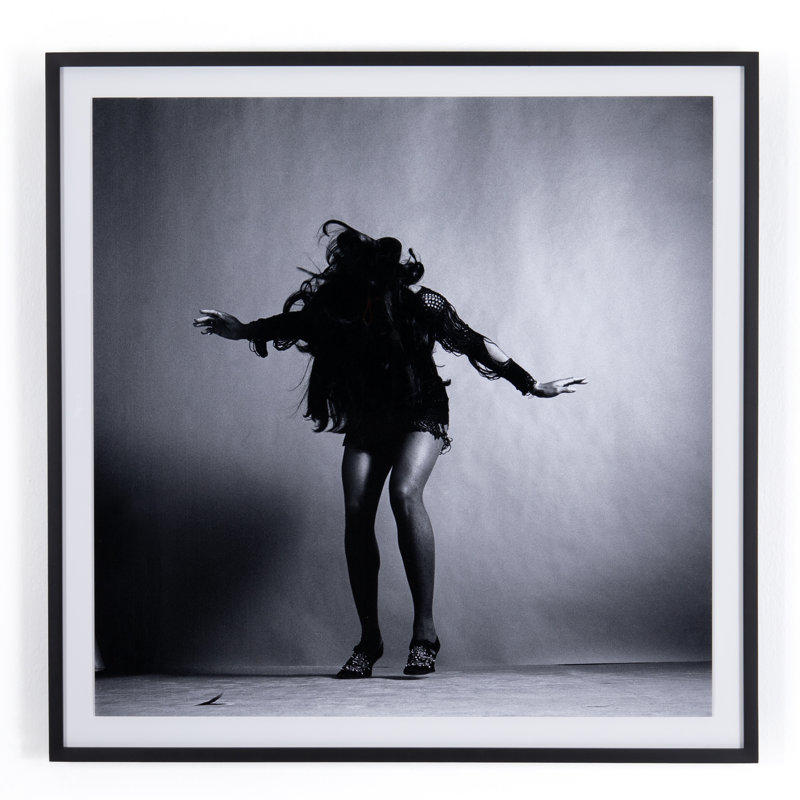 Tina Turner Print, 24" H x 24" W