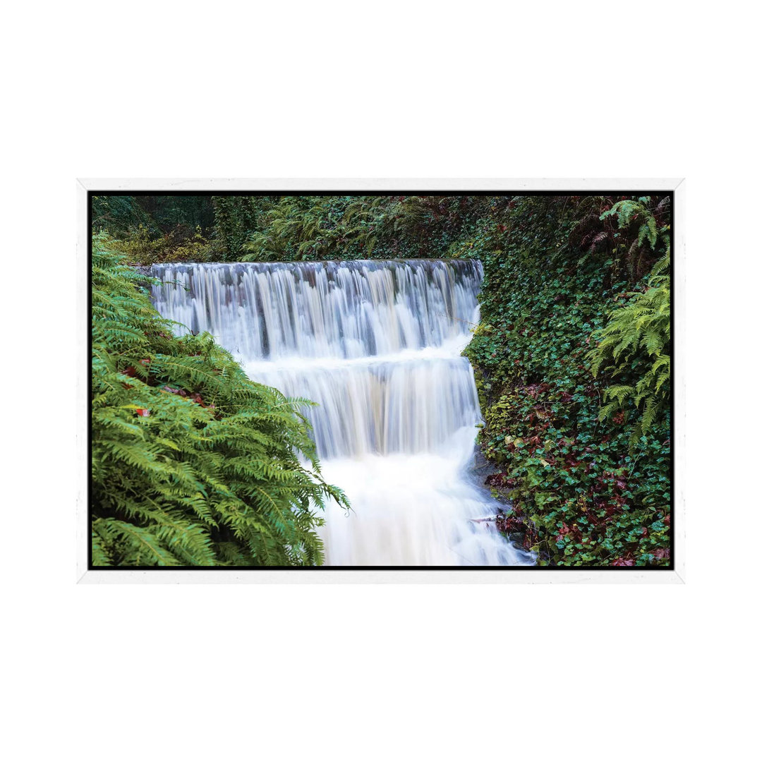 Seasonal Creek On Outskirts Of Portland, Oregon, USA von Stuart Westmorland - Gallery-Wrapped Canvas Giclée on Canvas