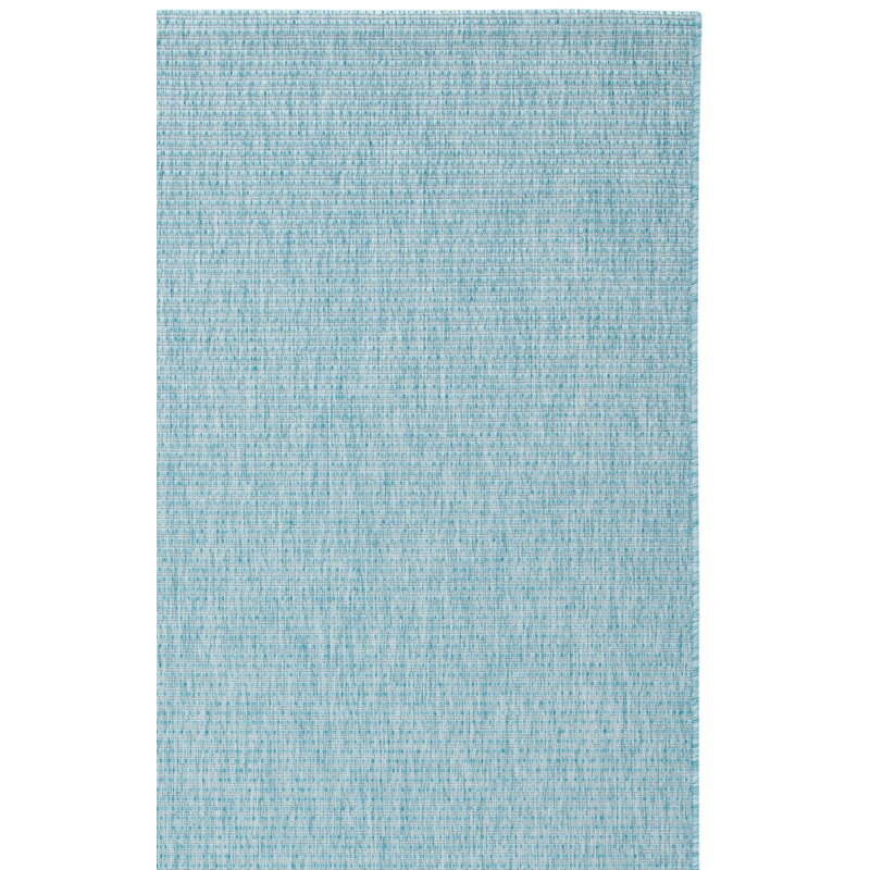 Alexondra Performance Solid Color Indoor/Outdoor Area Rug, Rectangle 9' x 12'