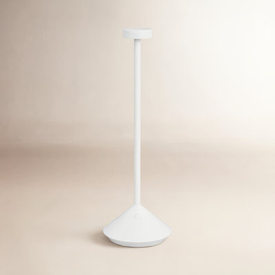 Moneta Novelty Lamp