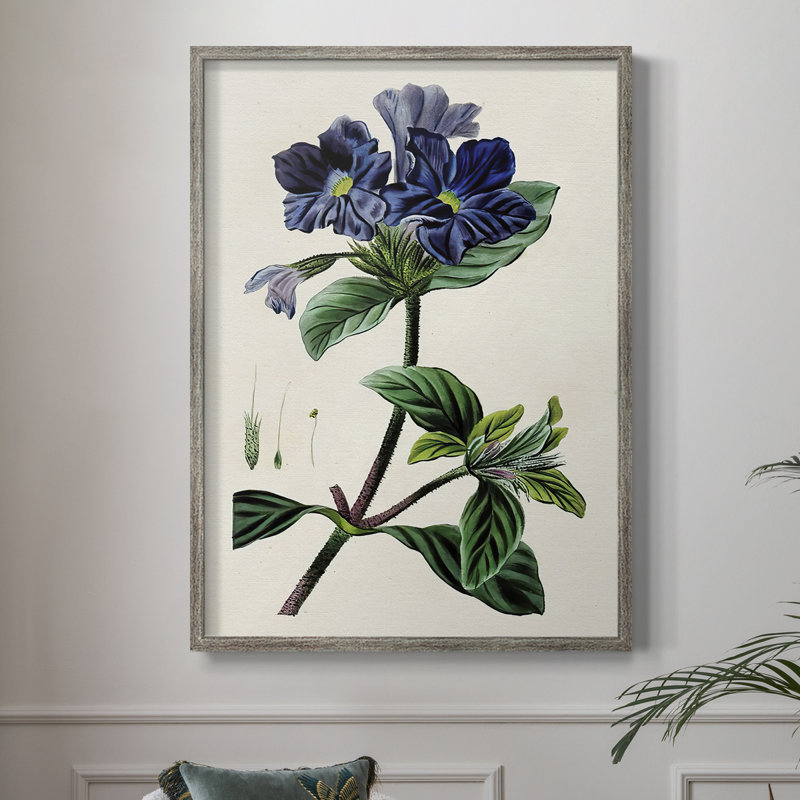AntiqueFloralFolioIV, reproduction encadrée - bois massif 2768839, H 15 po x l 12 po