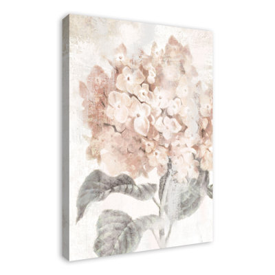 " Closeup Hydrangea "
